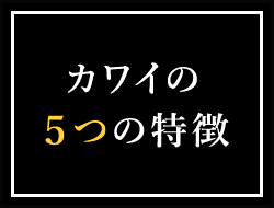 カワイの5つの特徴